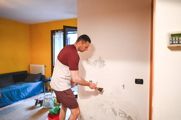Best Commercial Mold Remediation in Allendale, SC